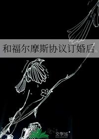 和福尔摩斯协议订婚后
